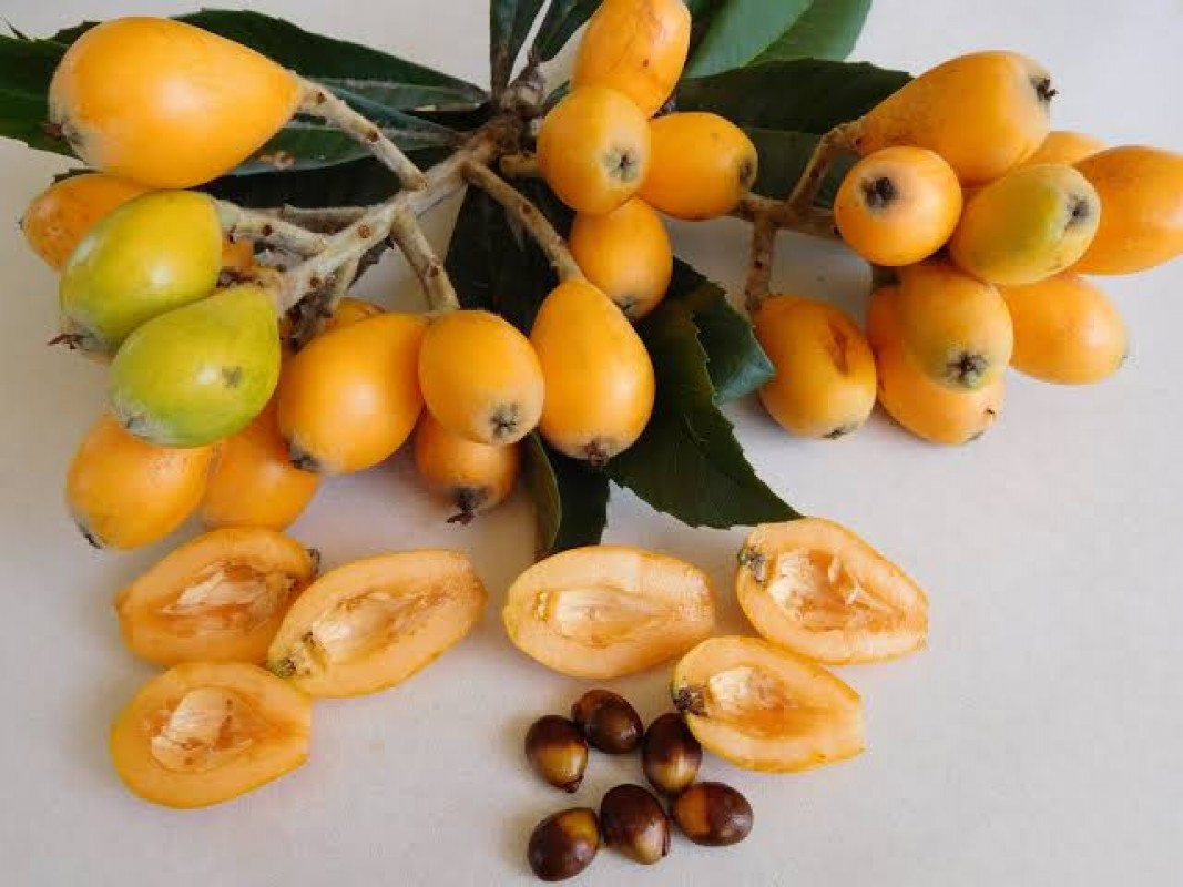 Loquat from Kenya